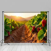 Aperturee - Aperturee Strawberry Orchard Sunset Sweet Warm Winter Backdrop